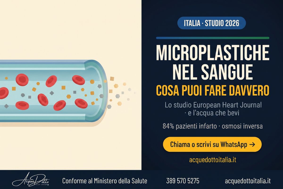 microplastiche nel sangue